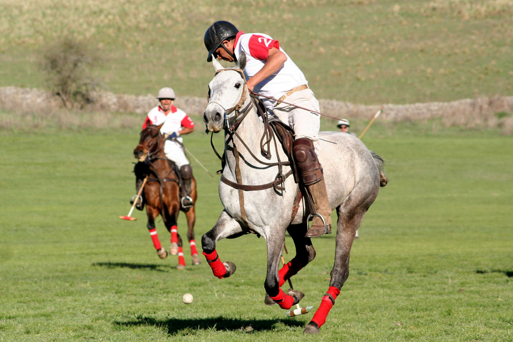 Partie de polo en Argentine