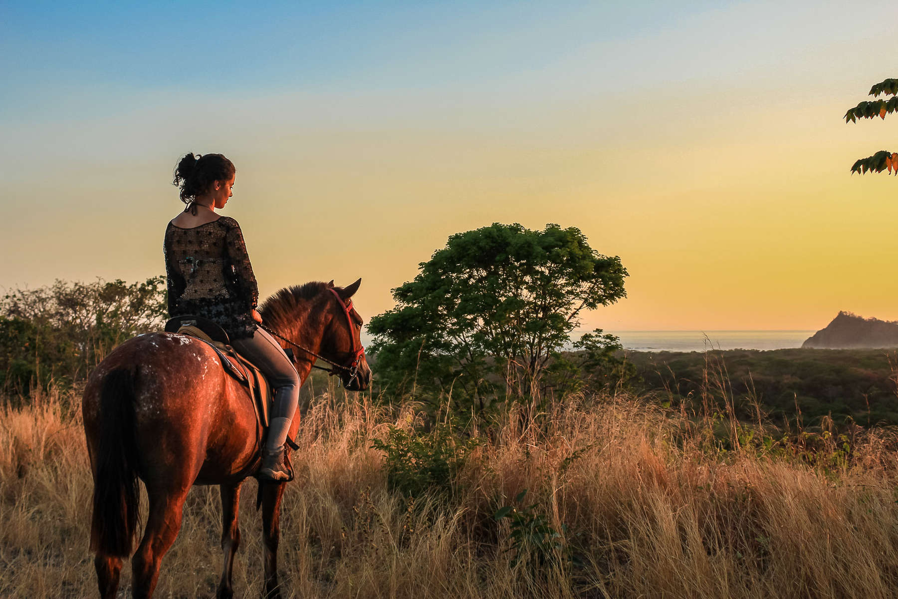 Paysages du Costa Rica à cheval