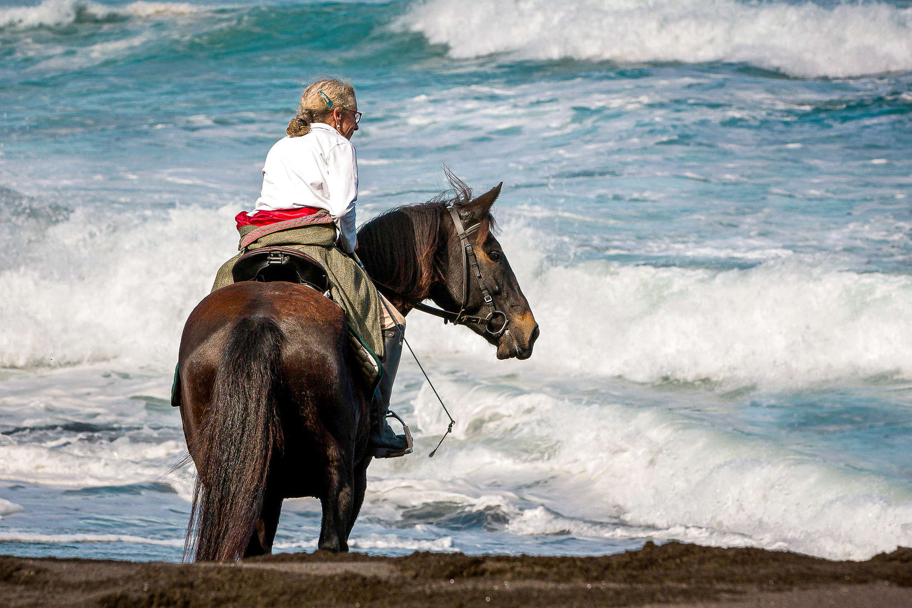 Plages des Açores à cheval