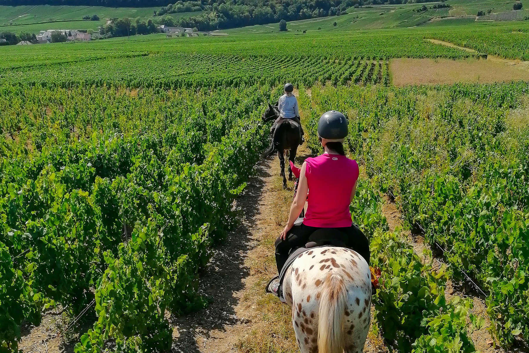 Rando à cheval en Champagne