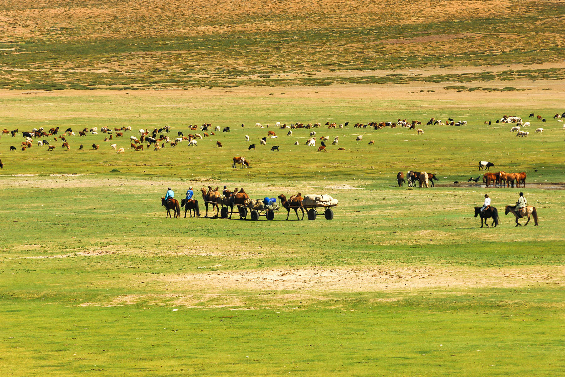 Cavaliers dans les steppes mongoles - © Christophe Leservoisier Rando à cheval en Mongolie