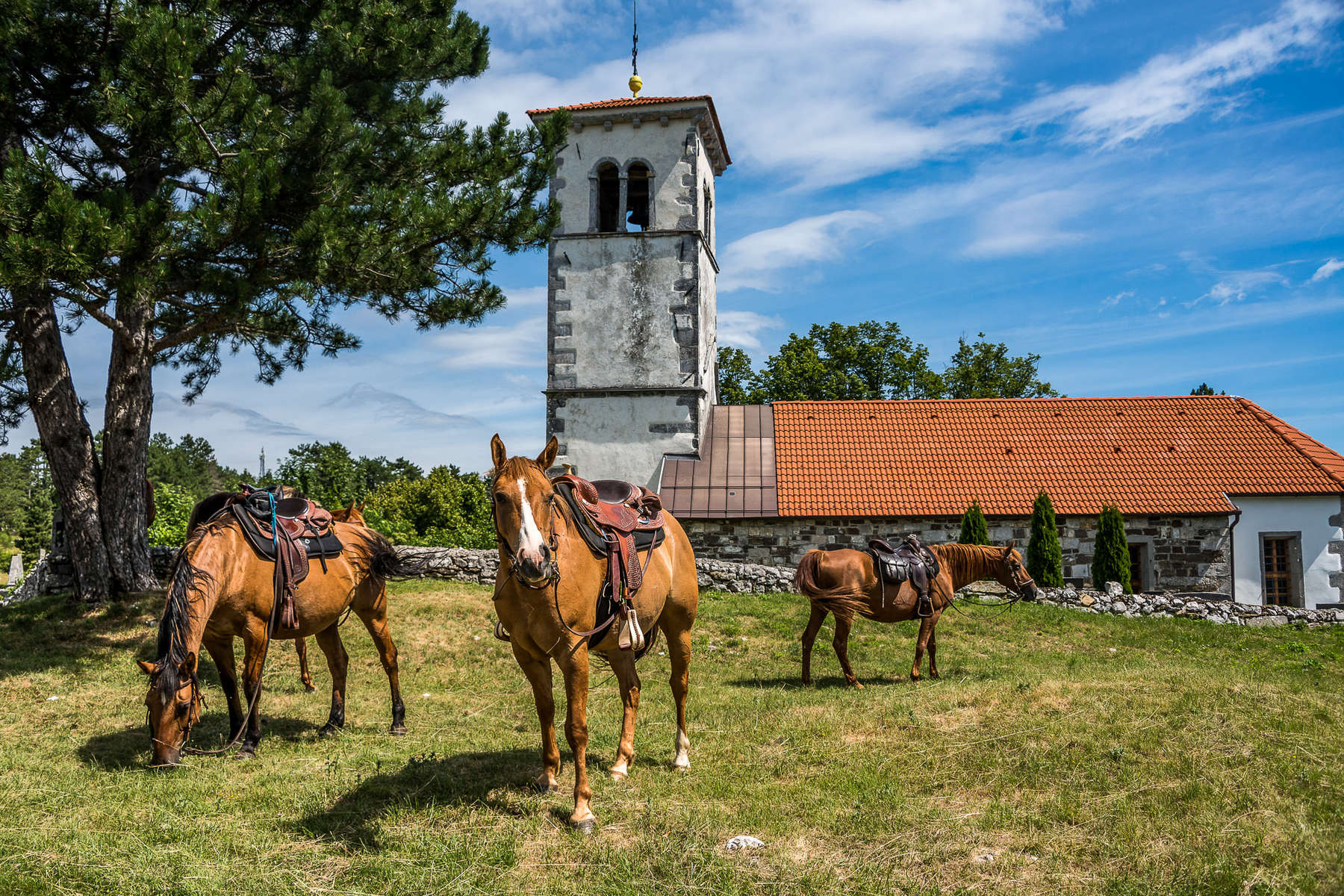 Rando à cheval en Slovénie
