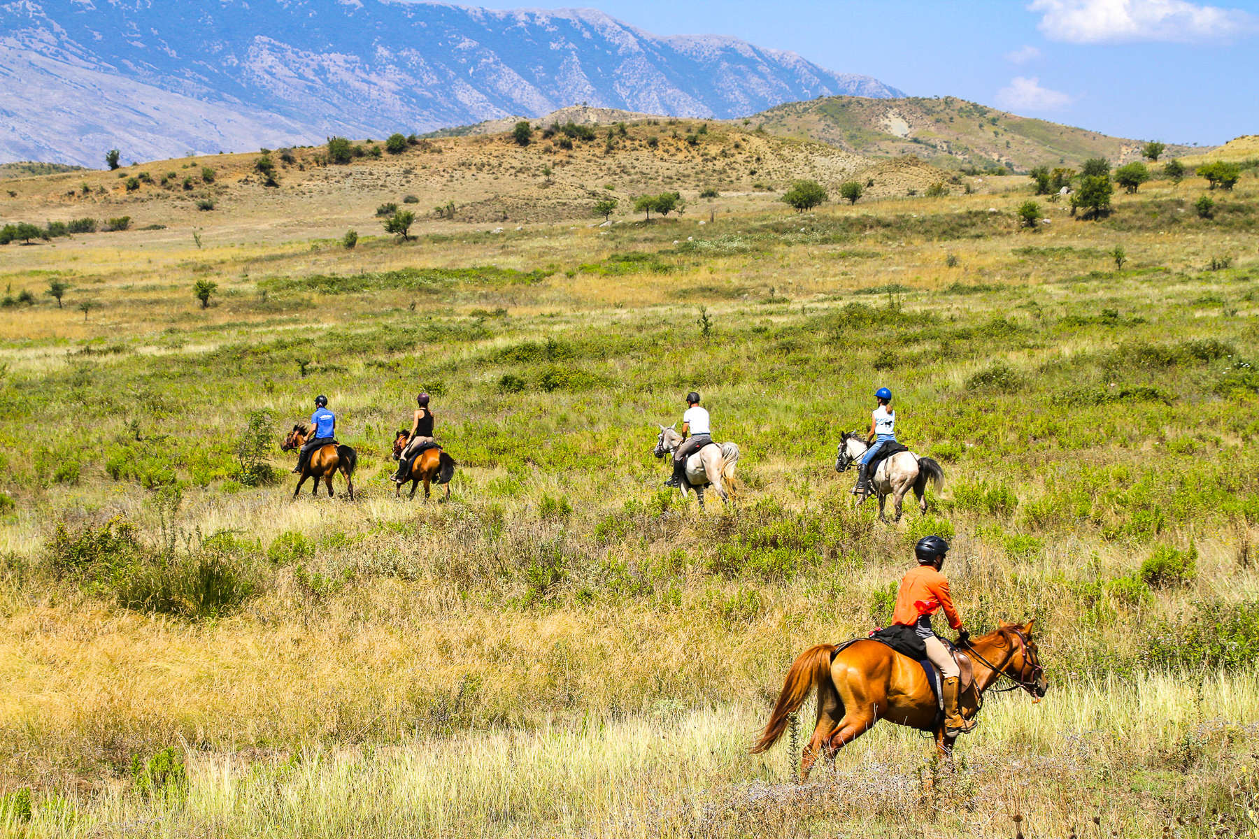 Randonnée à cheval en Albanie Rando équestre en Albanie