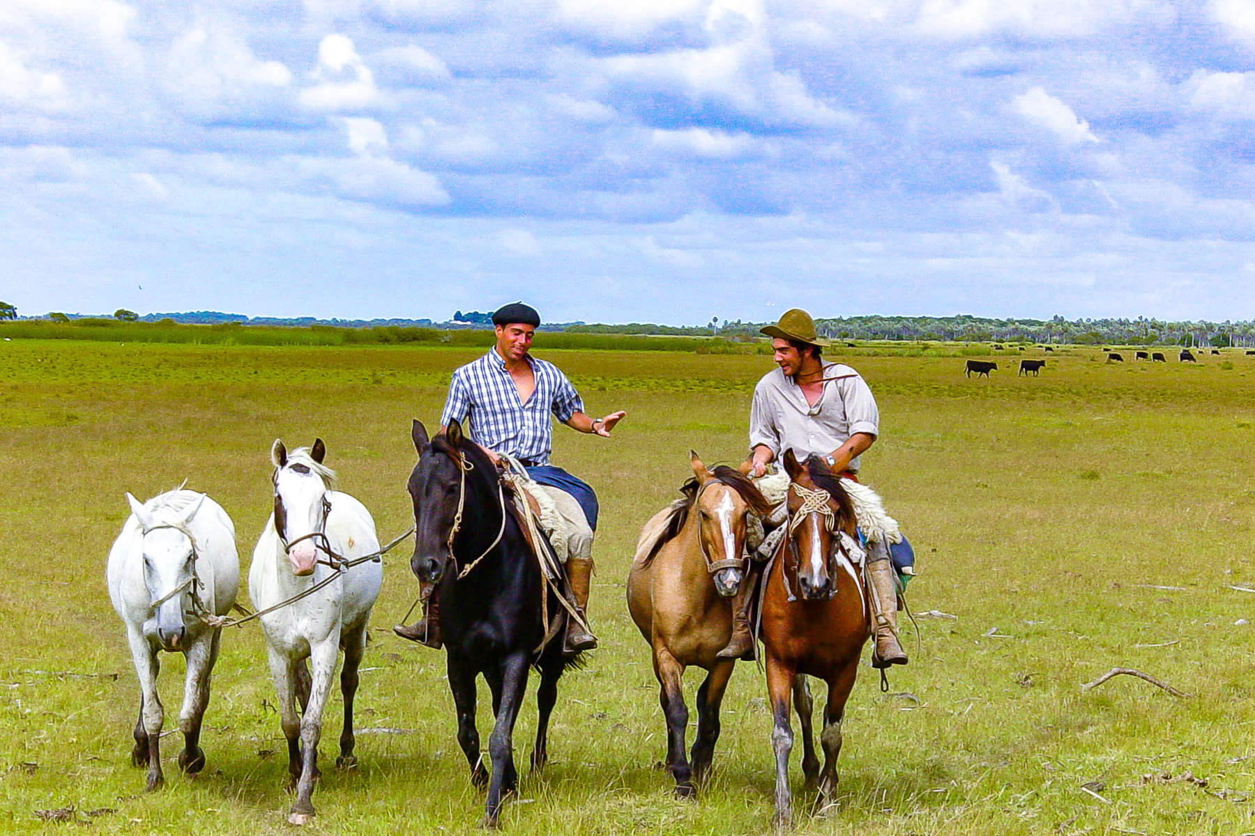 Rando équestre en Uruguay