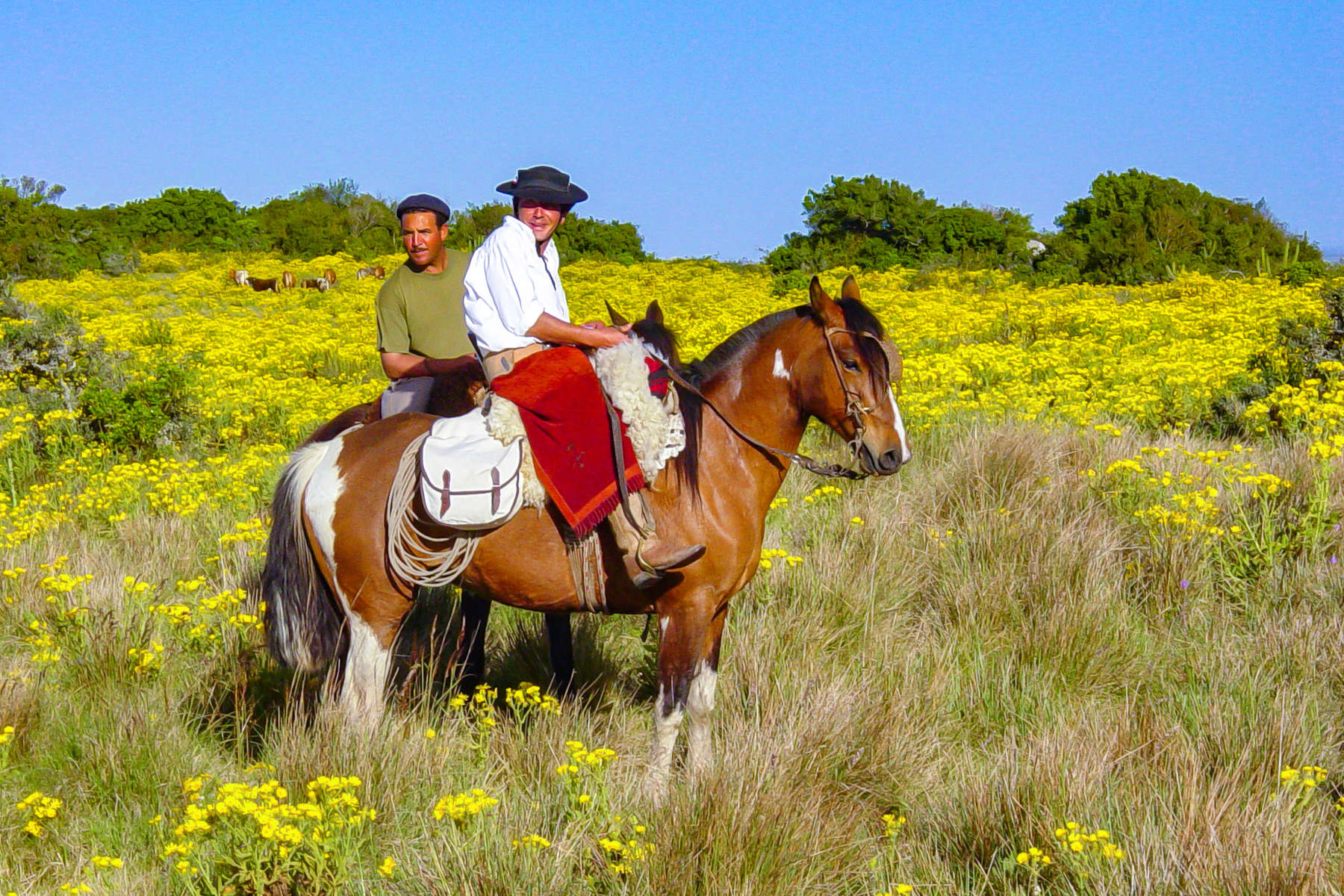 rando équestre rochas avec les gauchos