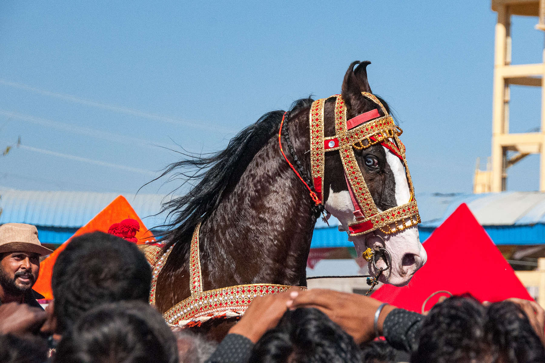 randonnée à cheval à la foire de Pushkar