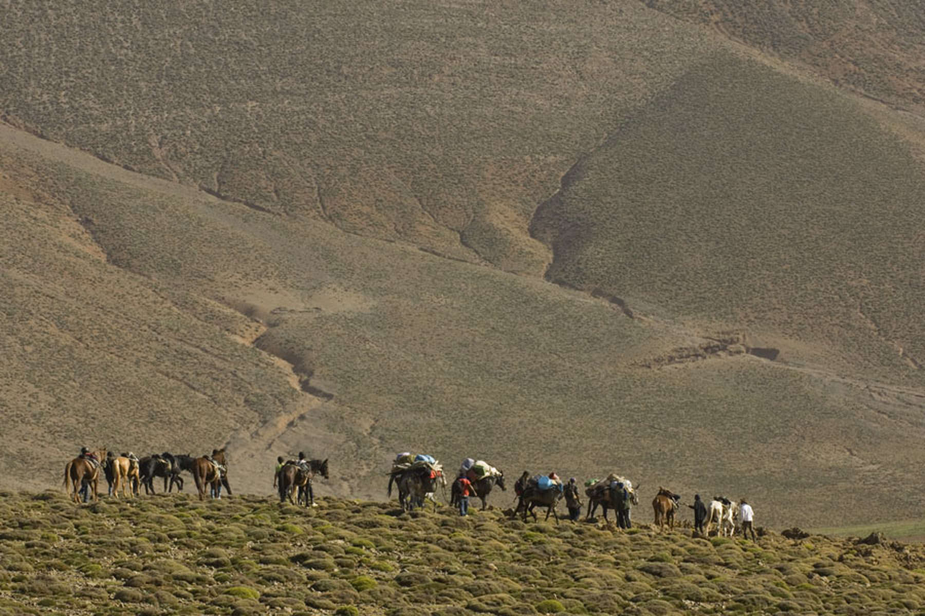 Randonnée équestre dans l'Atlas Séjour équestre au Maroc