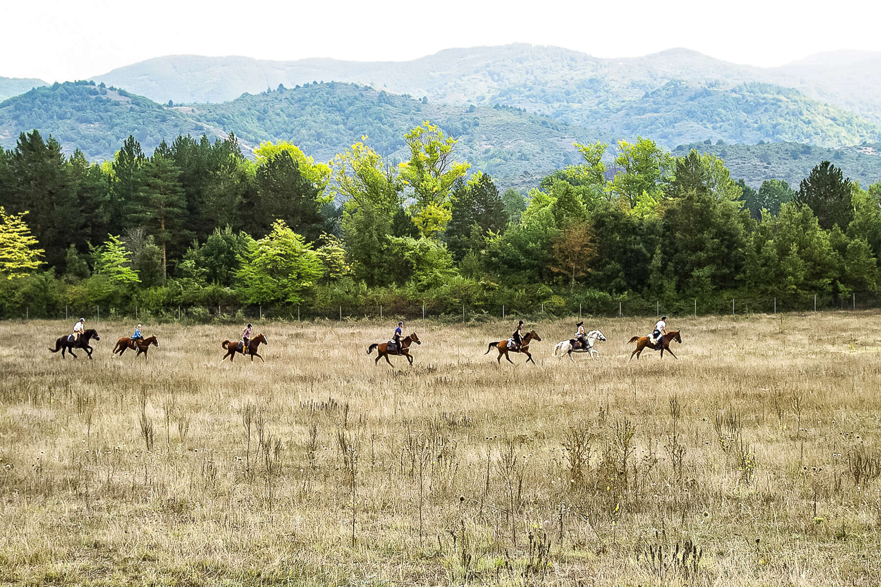Randonnée sportive à cheval en Bulgarie