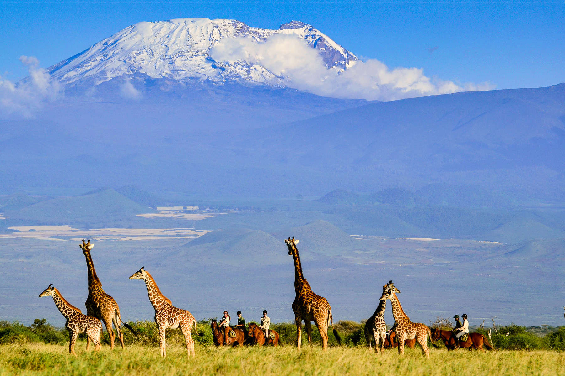 image tanzanie