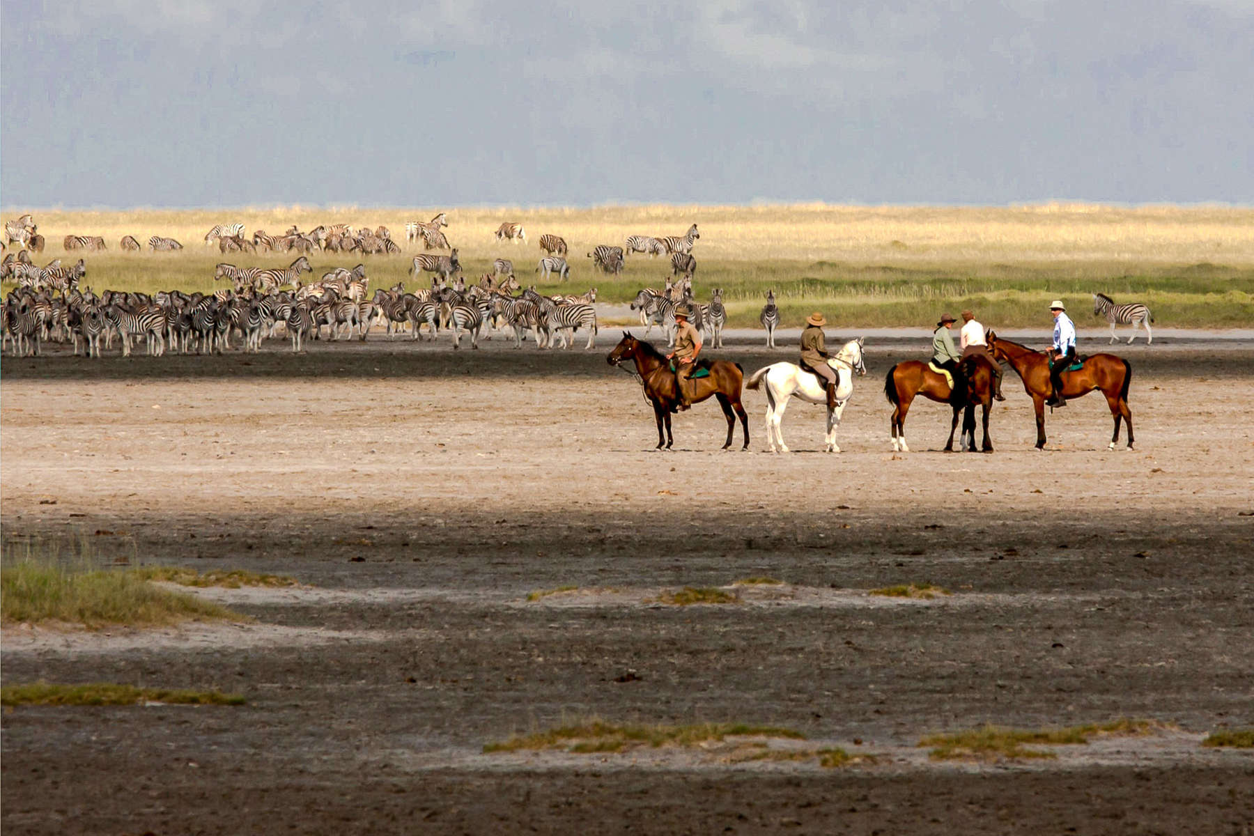 Safari à cheval dans le Kalahari