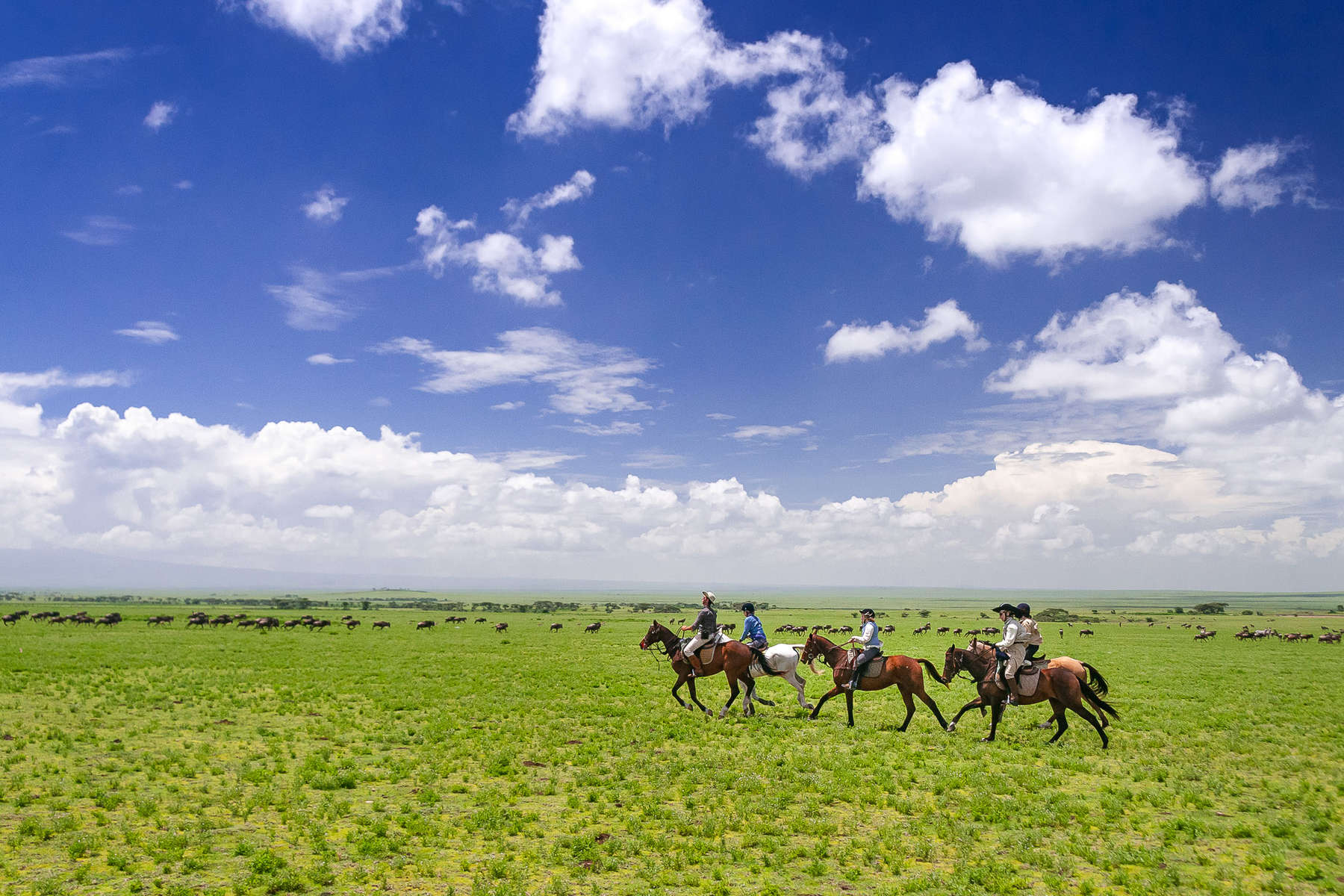 Safari à cheval en Tanzanie