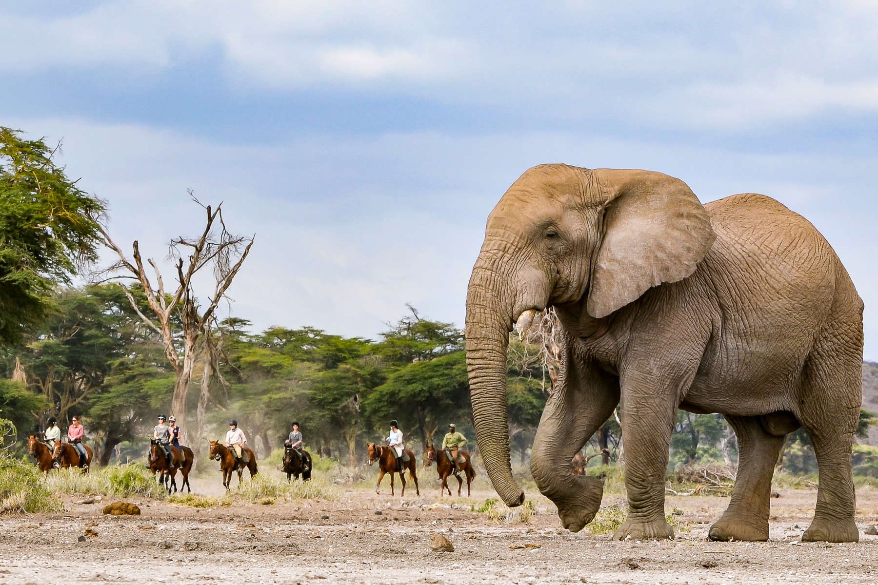 Safari à cheval en Tanzanie