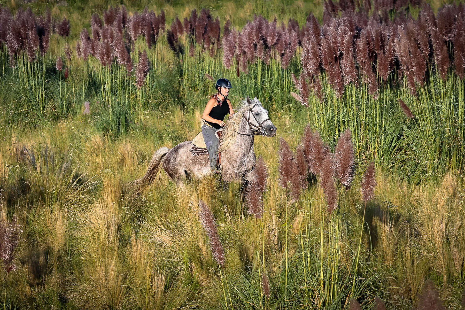 Cavalière dans le paysage argentin Séjour à cheval en Argentine
