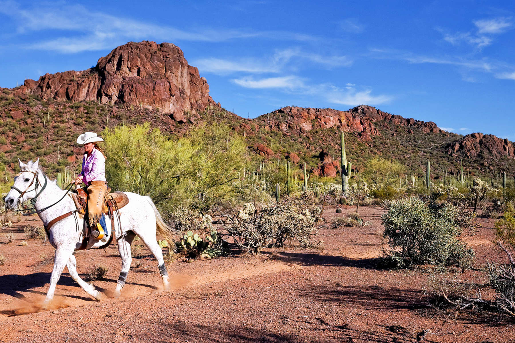 SEJOUR EN RANCH EN ARIZONA