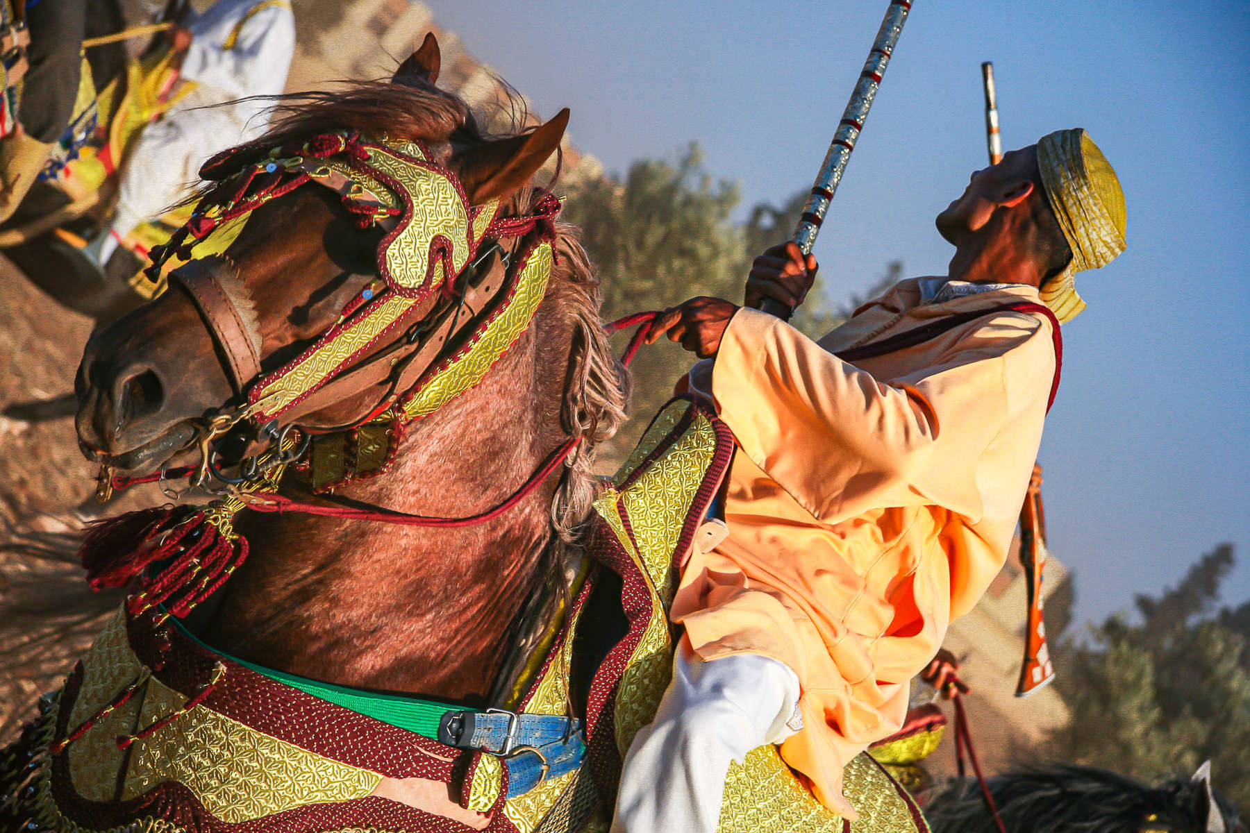 Spectacle de fantasia au Maroc