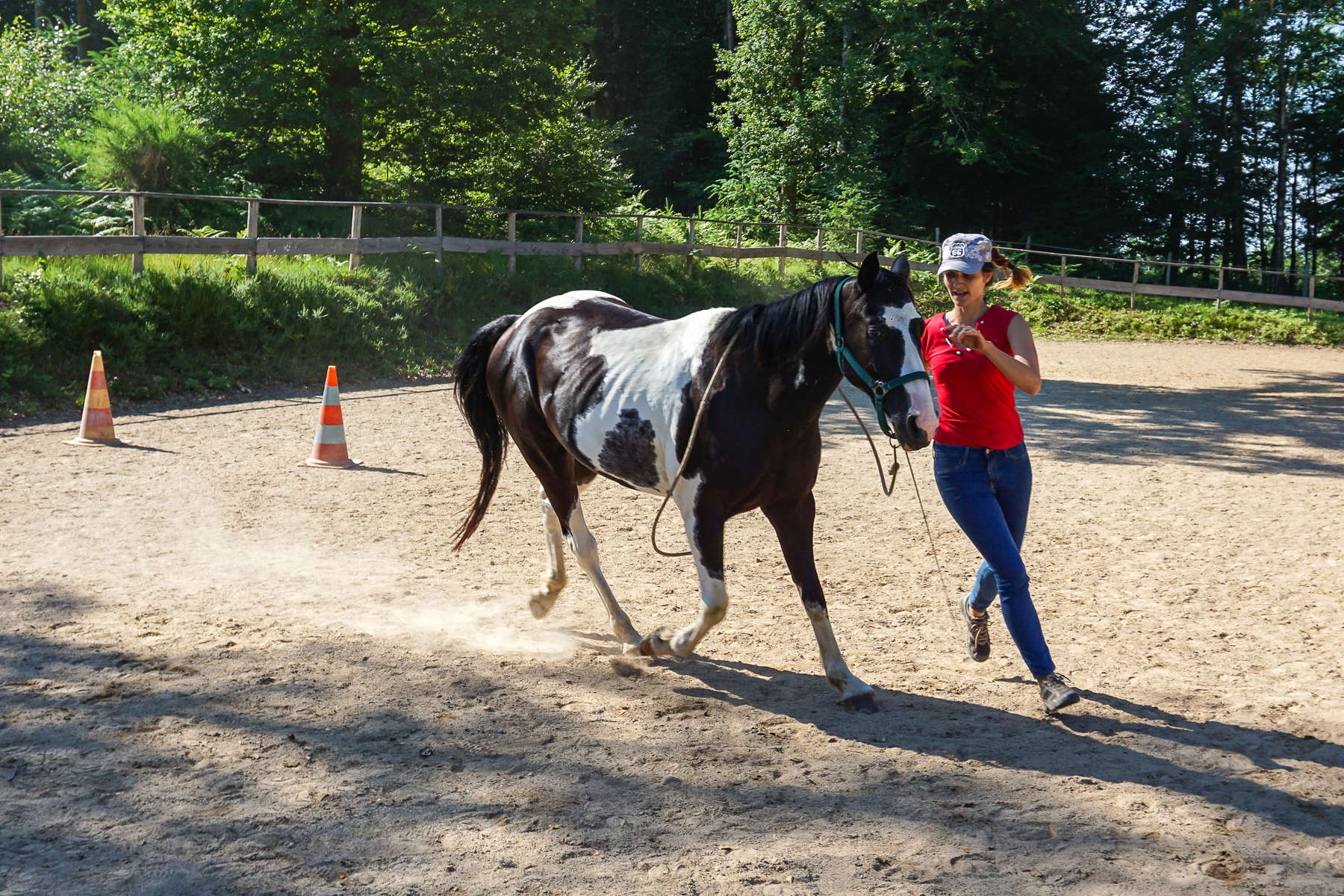 Disciplines équestres : laquelle est faite pour vous ?