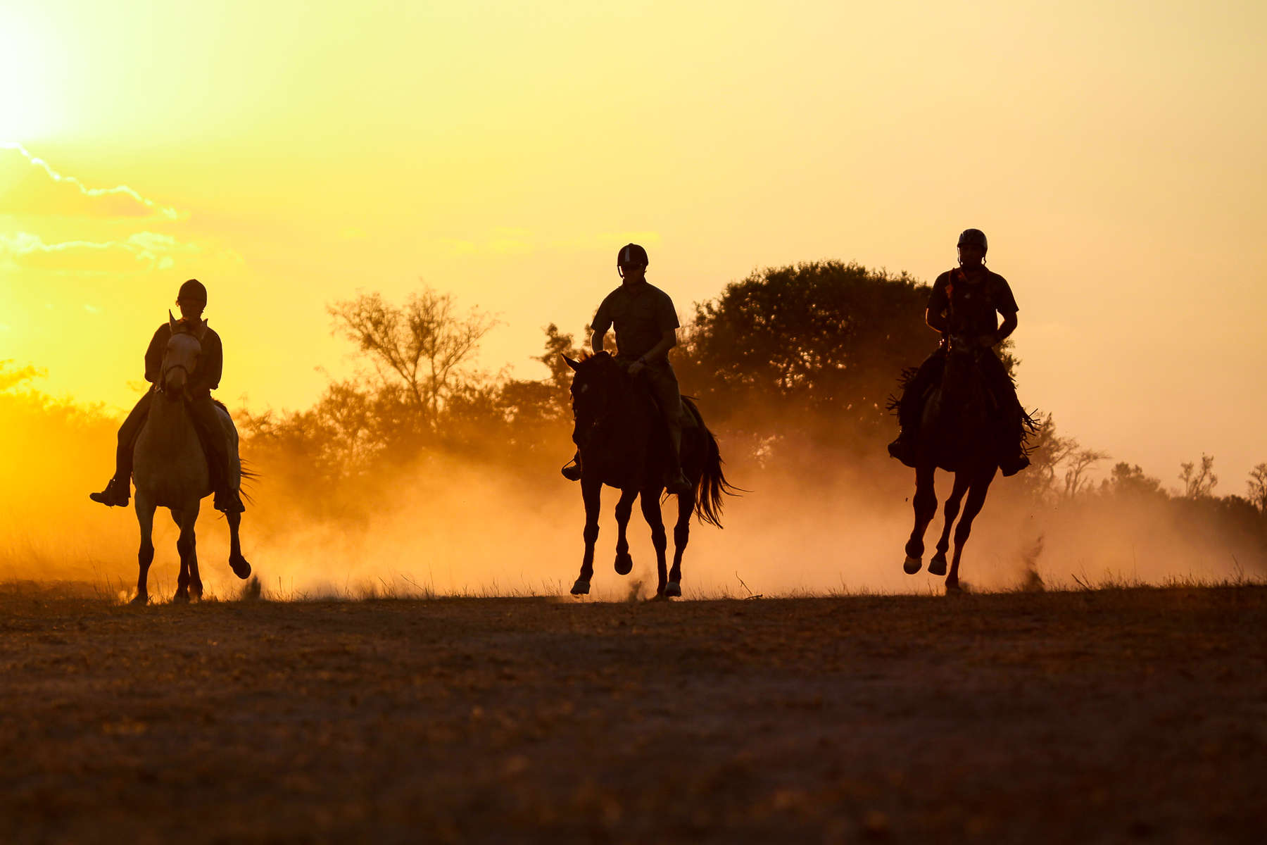 Waterberg au galop