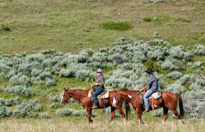 A cheval dans les paysages du Montana