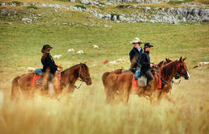 Cavaliers dans le Vercors