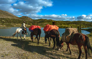 Chevaux de bât du Yukon