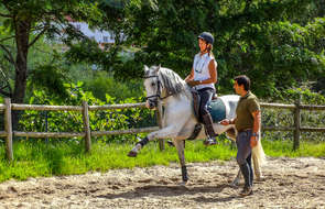 Dressage au Portugal