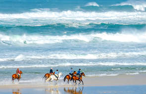 Galop sur la plage en Aquitaine