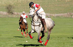 Partie de polo en Argentine