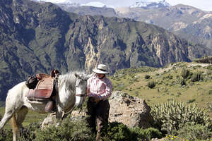 Canyon Pérou à cheval