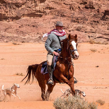 Christophe Leservoisier à cheval, équipe Cheval d'Aventure