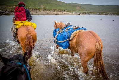 A cheval au cœur de la Terre de Feu
