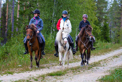 A cheval dans la Laponie suédoise