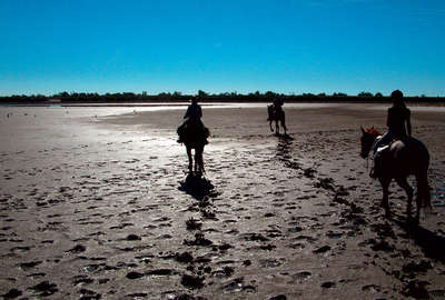 Languedox Roussillon à cheval