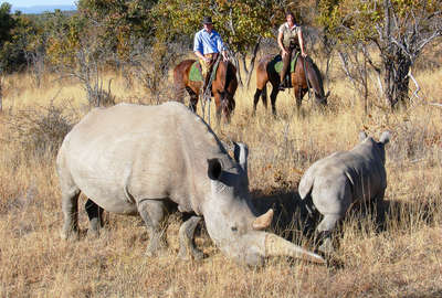 A cheval en Afrique du Sud