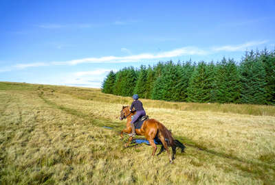 Au galop au Pays de Galles