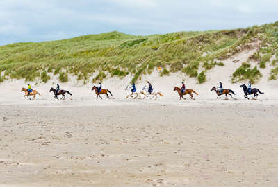 Au galop dans le sable en Irlande