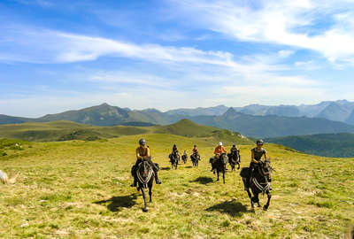 Au galop dans les montagnes