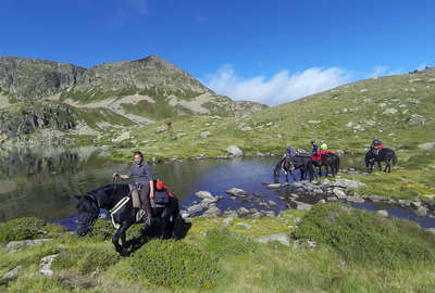 Autour d'un lac dans les Pyrénées