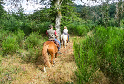 Balade en Corrèze