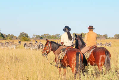 Botswana à cheval