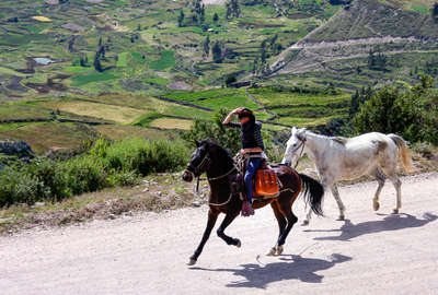 cavalier au galop avec un deuxième cheval en dextre au Pérou