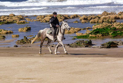 Cavalier en bord de mer au Maroc