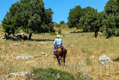 Israël à cheval