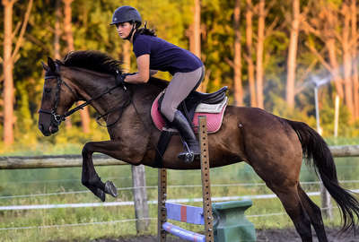 Cavalière à l'obstacle en Aquitaine