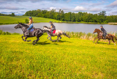 Cavaliers au galop dans un champ le long d'une rivière en Pologne