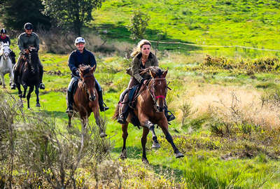 Cavaliers au galop en Champagne