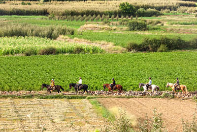 Cavaliers au Maroc