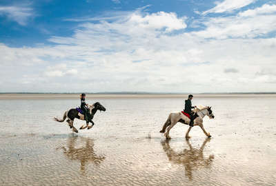 Cavaliers dans la baie du Mont Saint Michel