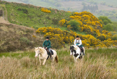 Cavaliers dans la plaine irlandaise