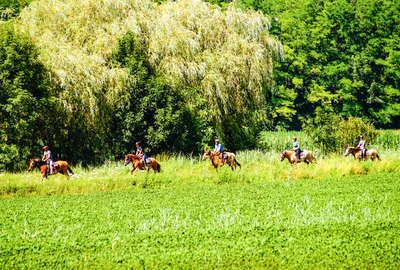 Cavaliers dans le Massif des Bauges