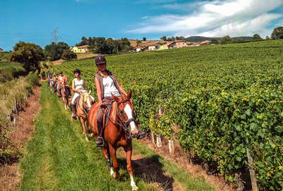 Cavaliers en Bourgogne